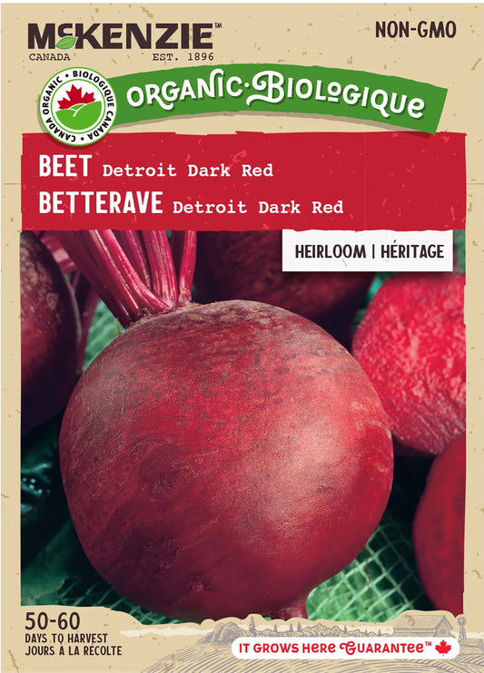 Betterave - Detroit Dark Red